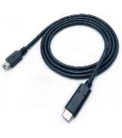 Type C Male to USB2 mini Male